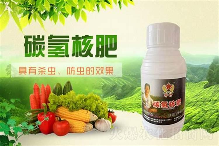 如何正确使用叶面肥？ 农民常用杀蚜剂之噻虫啉
