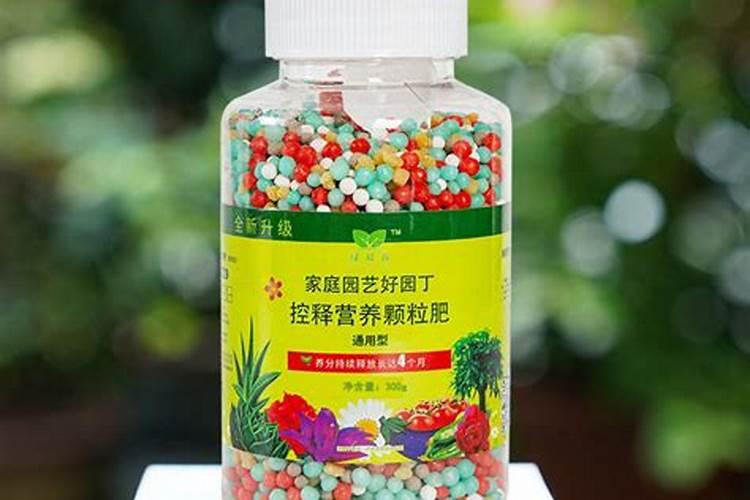 硅肥在大棚葡萄上什么时间用最好？