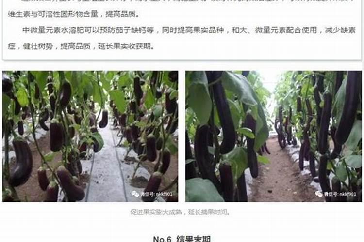 硅肥在水稻的作用及使用方法,什么时候喷施比较好