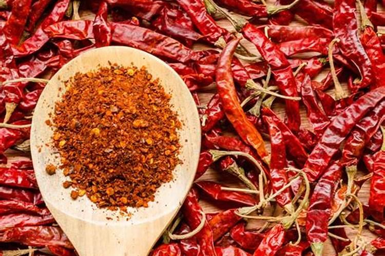 认为秋季的玉树颜值不够？只要这几点做好了,保准变成“胖娃娃”!百度...