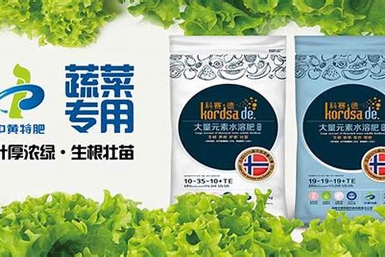 玉树喜欢什么肥料