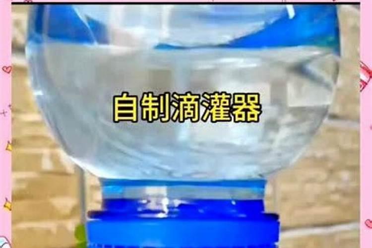 水培肥料怎么做