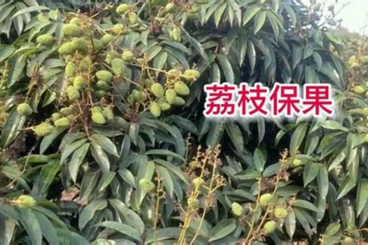 石灰水是什么