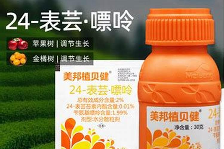 水稻分蘖期的田间管理