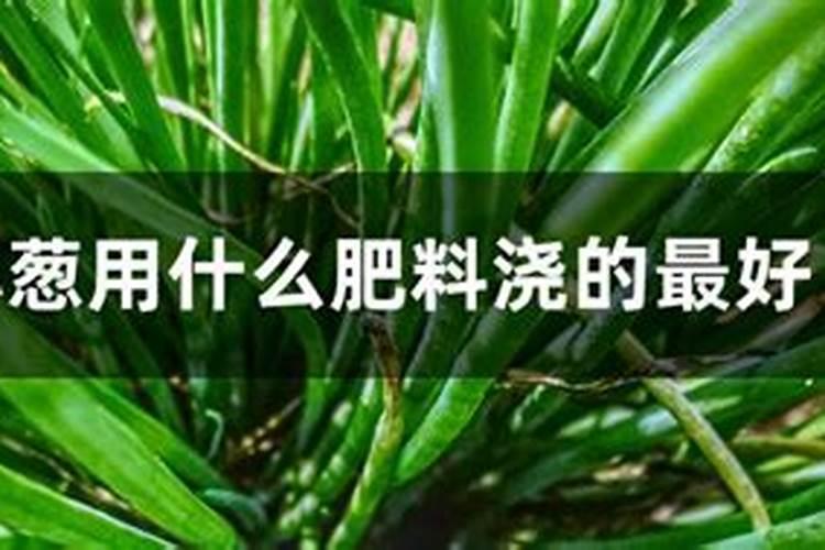 瓜果蔬菜主要检测的项目是什么
