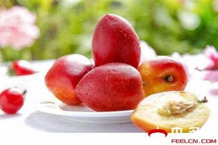 油桃种植用什么肥料可使果实更硬更甜