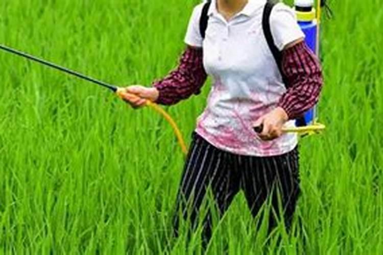 青州农博士肥料有限公司怎么样？