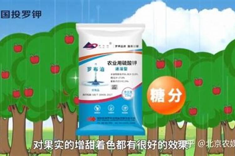 请问格尔木和罗布泊的钾肥哪个好