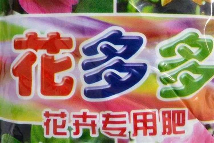 地栽茶花冬季如何养,来年才能开花又多又鲜艳？