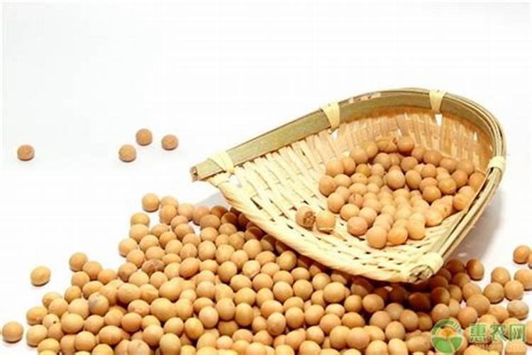 大豆花打什么叶面肥好？