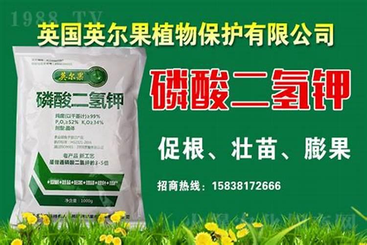 二氮化碳气体的相关性质是什么请求高手,高分悬赏