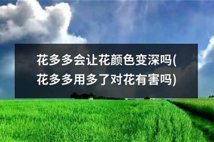 磷肥烧根吗