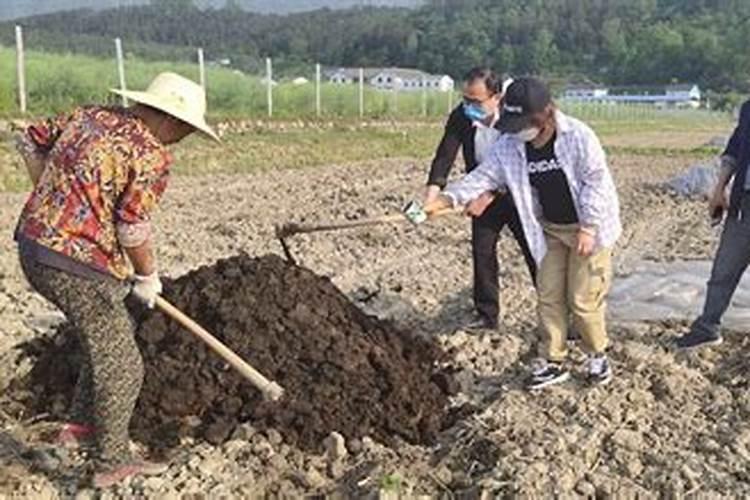 如何提高耕地质量,具体的措施有哪些？