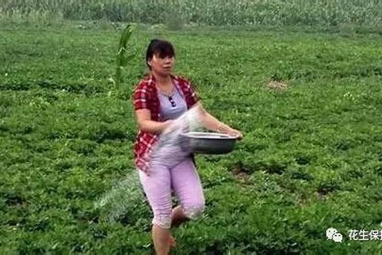 柑桔叶面肥分功能叶面肥,氨基酸叶面肥两者各用途有什么区别。百度知 ...