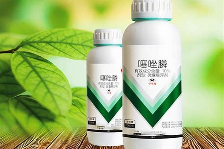 黄瓜盛瓜期能用噻唑磷吗？