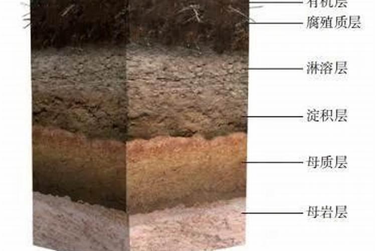为什么腐植酸纯化时要使钾离子浓度为0.3？
