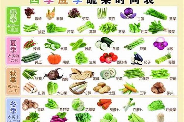 芹菜的用肥方法