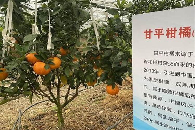 芹菜多少天浇一次水,冲多少肥好