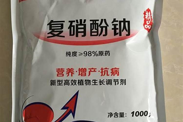 米兰花怎么施肥花开爆盆
