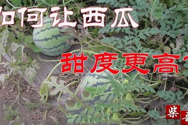 西瓜烂根用豪万稼可以防治吗？