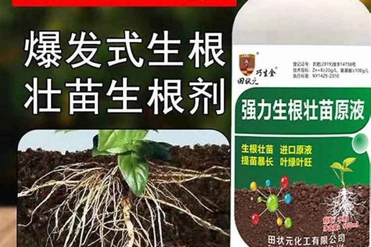 梨树用什么肥料好