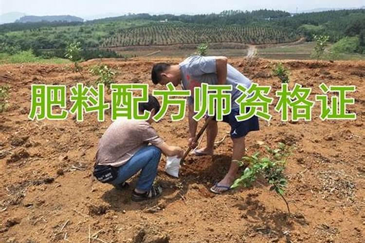 立体种植草莓靠谱吗？草莓立体种植技术