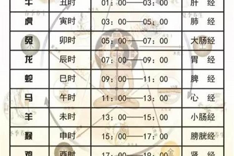糖醇钙应该如何使用？