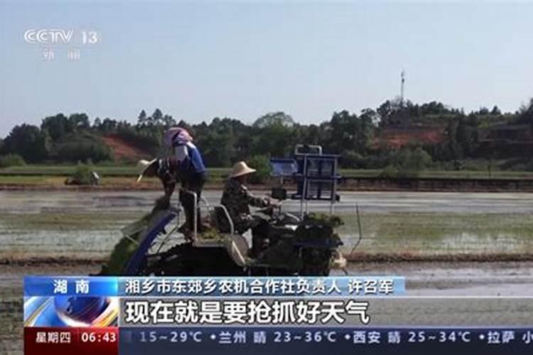 水稻用尿素喷治作叶面肥应每亩用多少斤尿素呢？