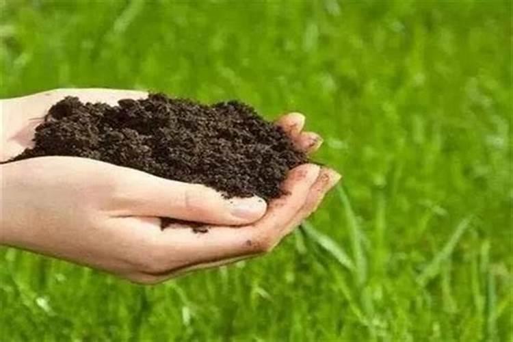 初步区分常用氮肥、磷肥、钾肥的方法是什么