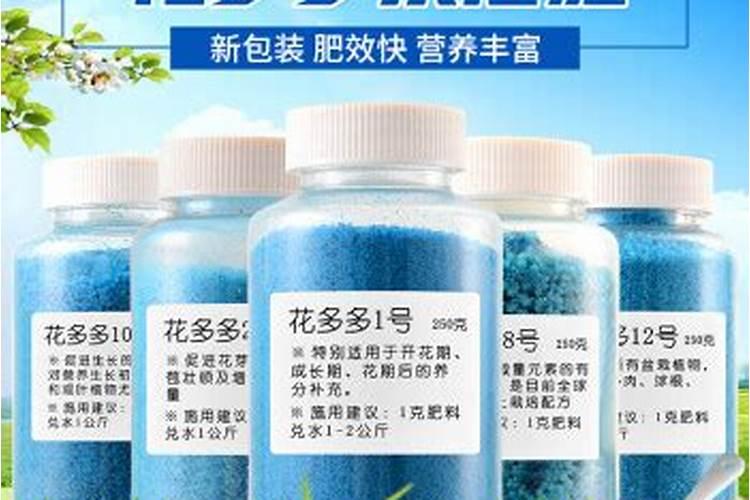 水培红薯盆栽多久发芽 红薯在水里种植需要几天才能发芽