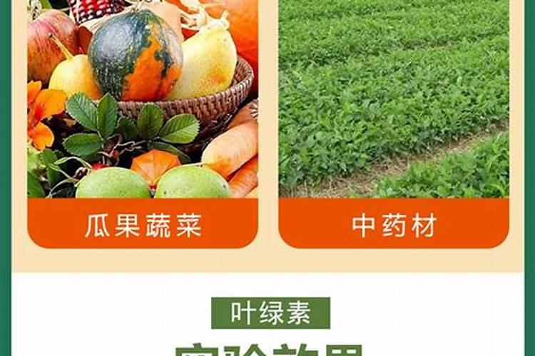 怎样让红薯在水中发芽