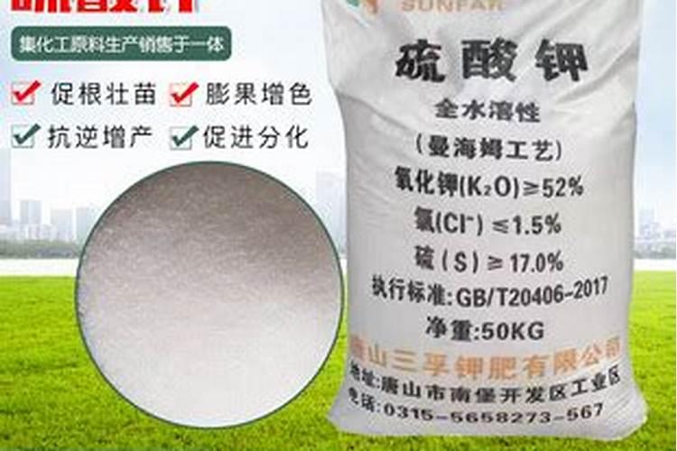 绿植施肥用什么肥料最好,给绿植施4种肥长得好