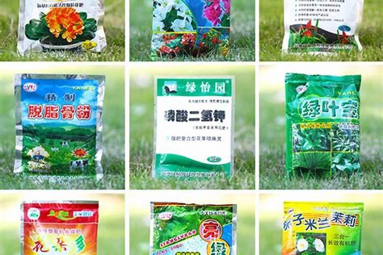 多肉怎么施肥才能更旺盛