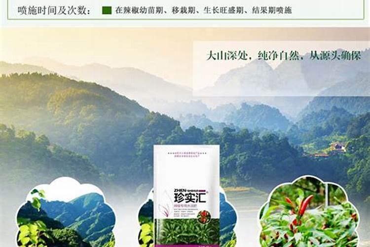 辣椒用什么叶面肥