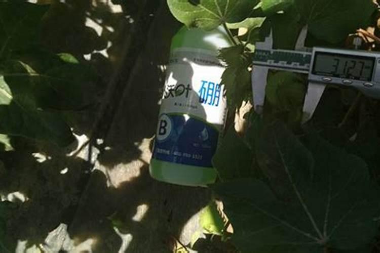 烟草缺素是什么原因？种植户该怎么预防和治理？