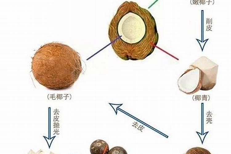 if椰子水真的纯椰子汁吗
