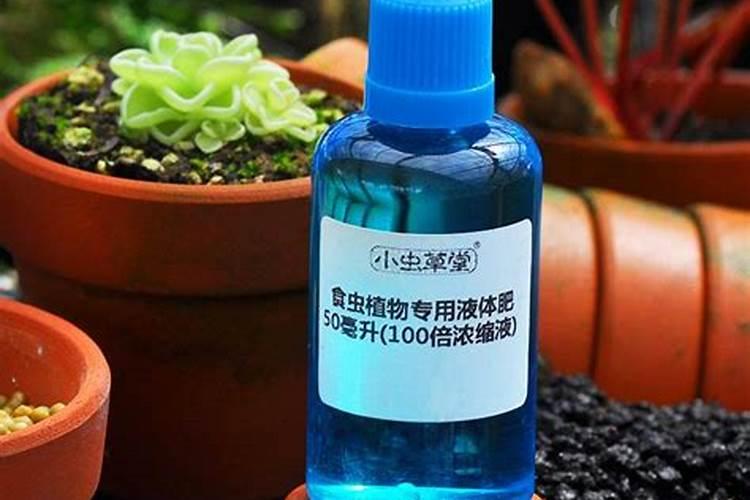捕蝇草用什么肥料