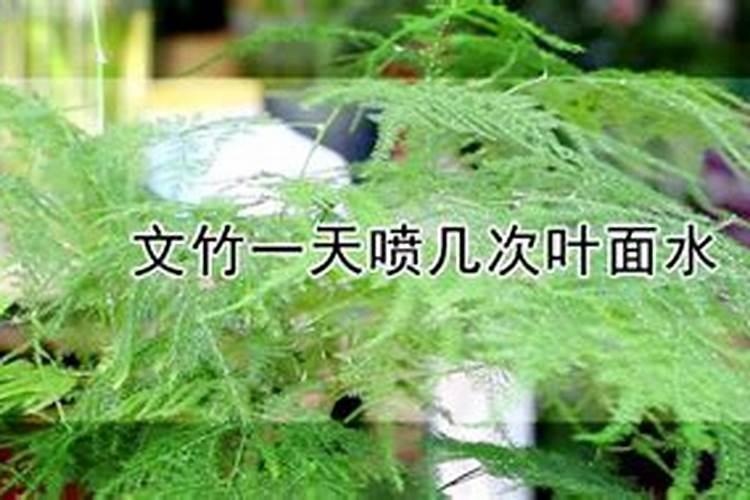 什么肥料是氮肥
