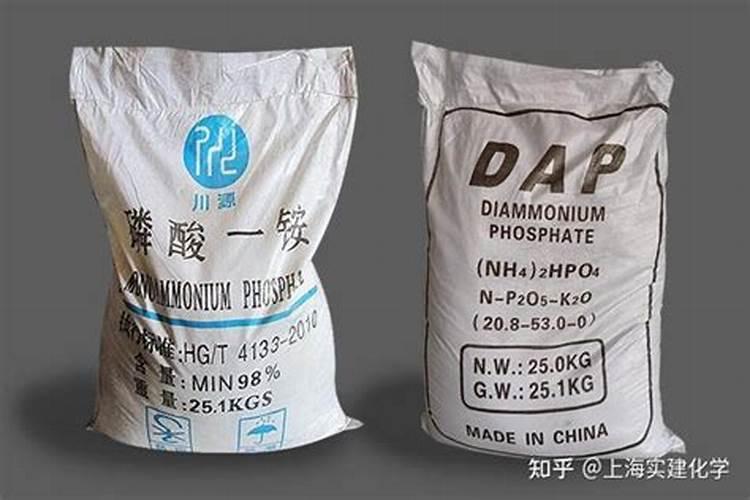 杜鹃花什么时候施肥