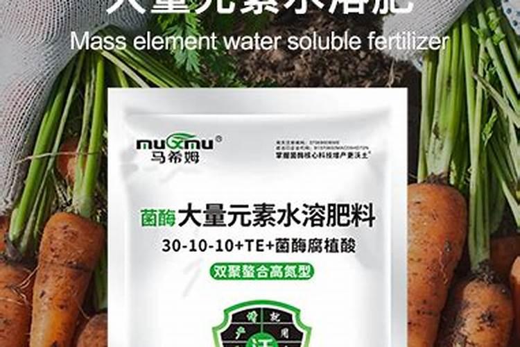 种花用什么肥料最好