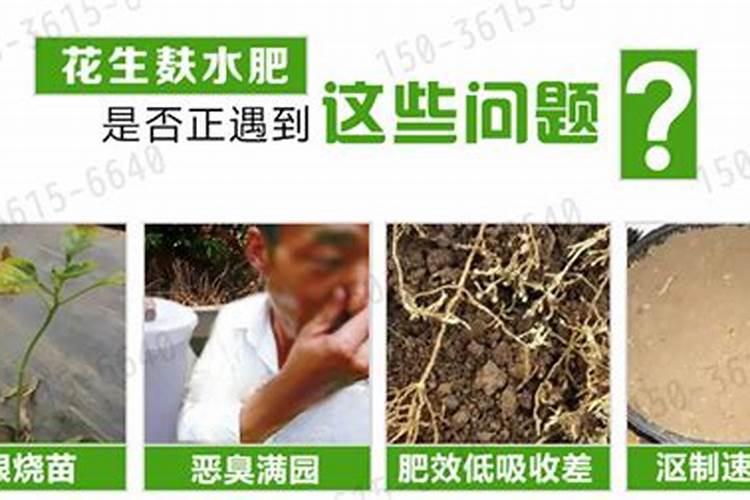 杏树用什么肥料可以增甜？