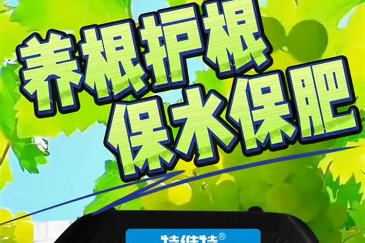 冬季大棚蔬菜用什么样的水溶肥效果比较好？