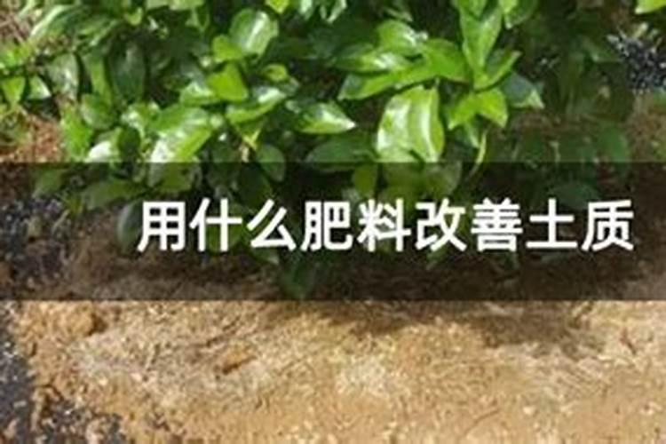 什么肥料可以治盐碱地