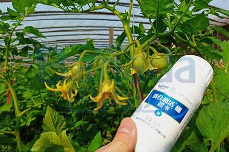 氨基酸和腐植酸两种叶面肥哪个好
