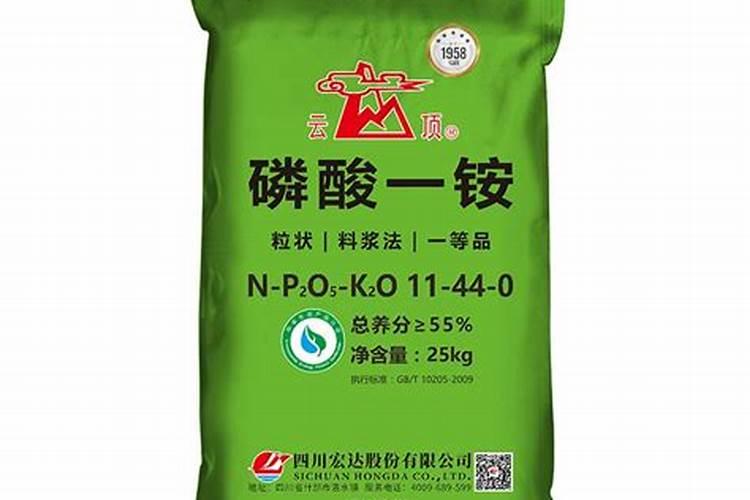 芸豆育苗怎么育