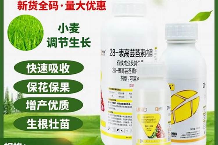 樱桃花开得多坐果率低怎么回事(花开得不少怎样能多坐果)