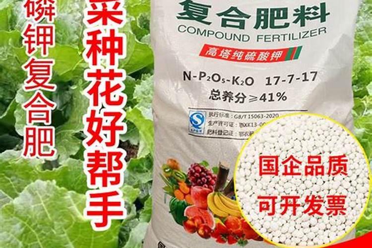 阳台种菜施什么肥好