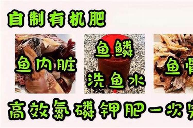 钙镁肥和生化黄腐酸能混用吗？