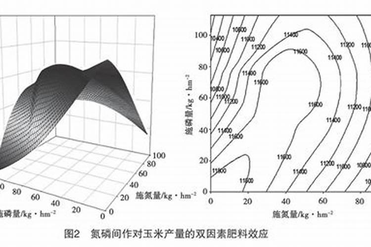 避免山药不被虫啃,怎么处理地下虫害呢？