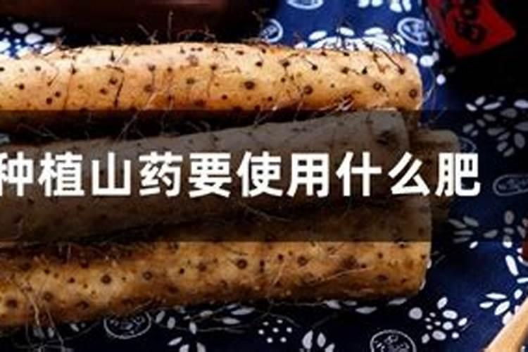 钾是山药需求量最多的元素,山药用哪种钾肥效果好呢？